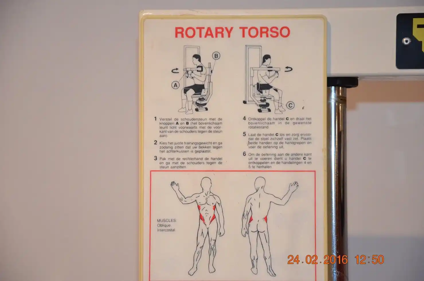 Siłownia TRICEPS-GYM - Sala z profesjonalnym sprzętem