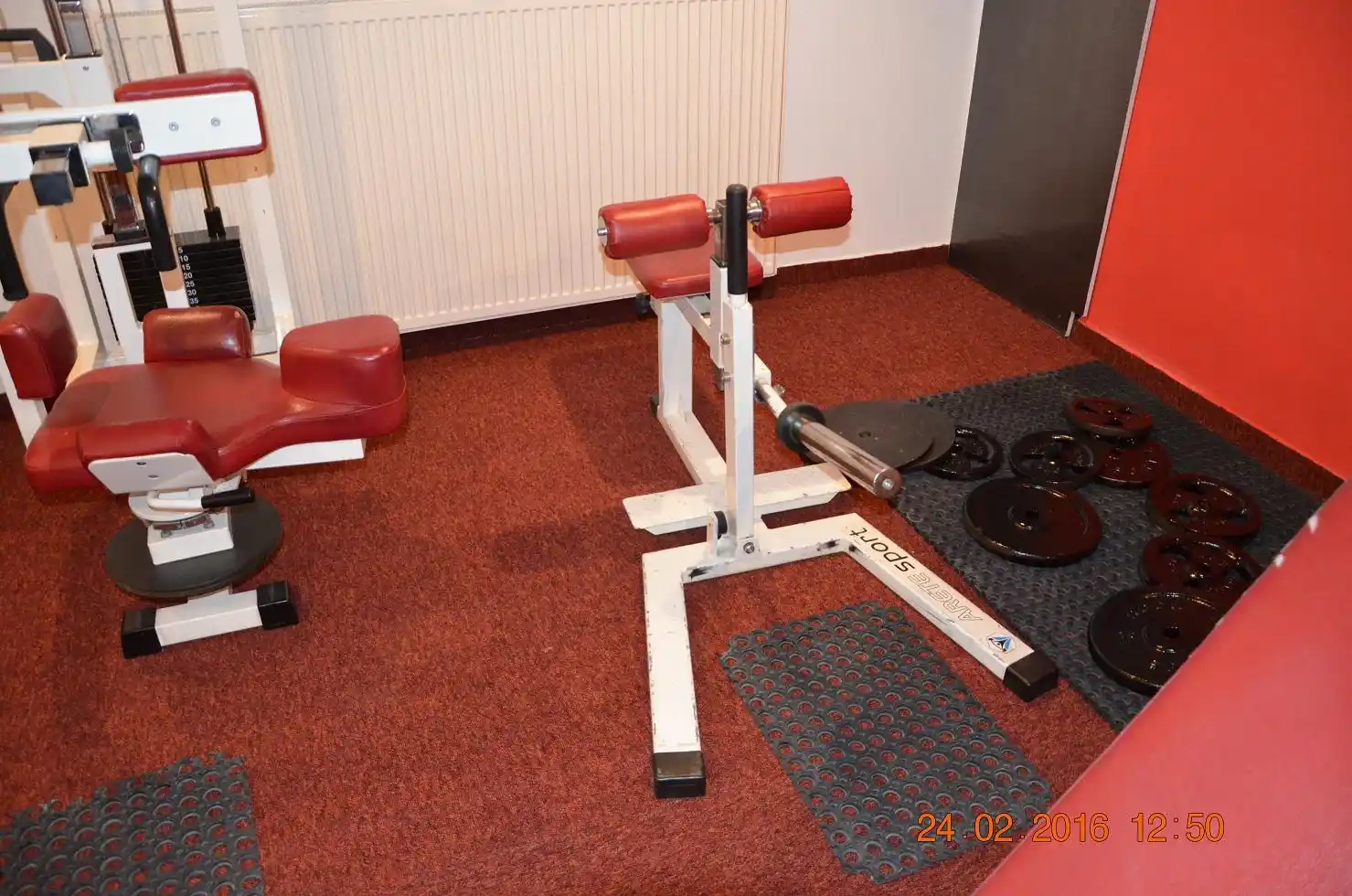 Siłownia TRICEPS-GYM - Profesjonalne wyposażenie i sprzęt treningowy 16