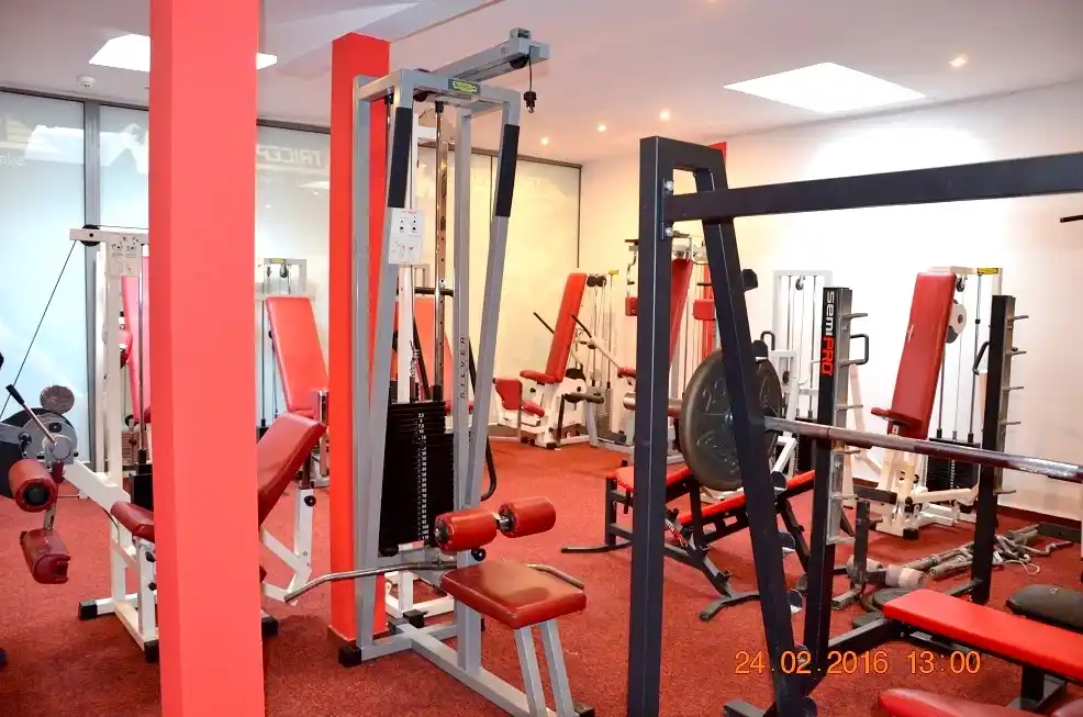 Siłownia TRICEPS-GYM - Profesjonalne wyposażenie i sprzęt treningowy 20