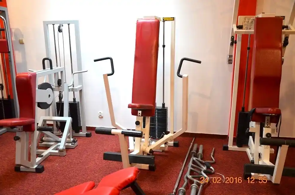 Siłownia TRICEPS-GYM - Profesjonalne wyposażenie i sprzęt treningowy 22