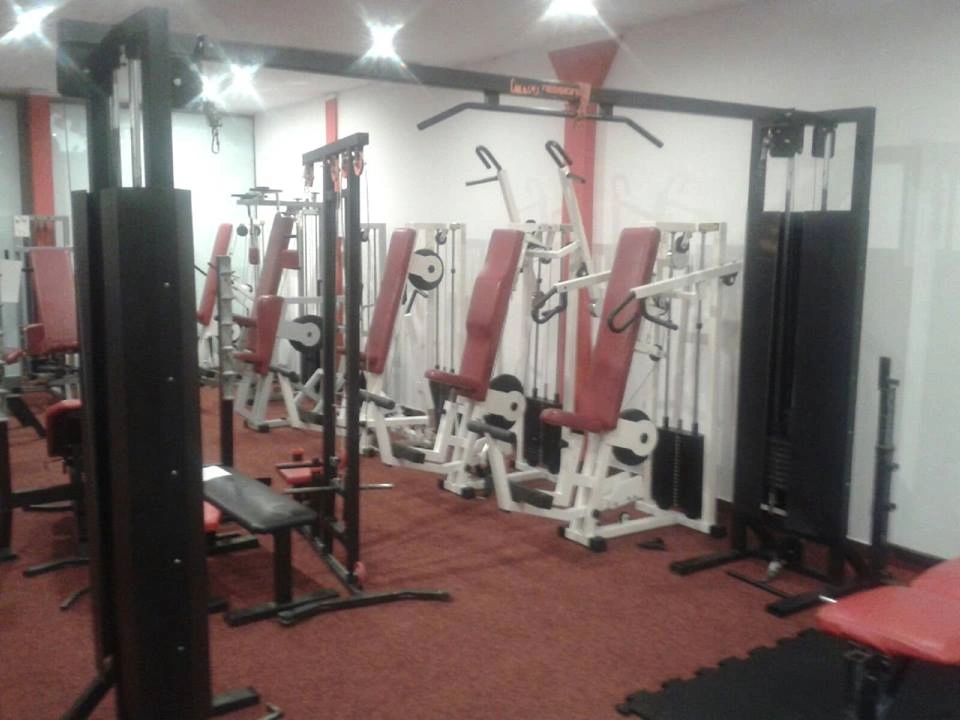 Siłownia TRICEPS-GYM - Profesjonalne wyposażenie i sprzęt treningowy 25